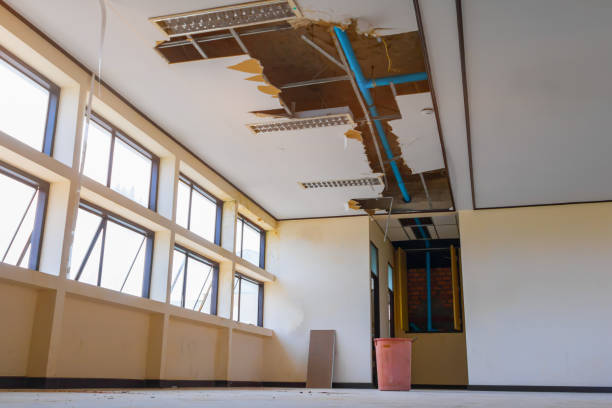 Best Mold removal after water damage  in San Diego Country Estates, CA