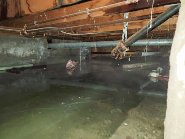 Sewage cleanup and water damage restoration in CA