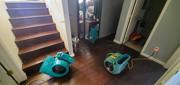 Best Carpet water damage restoration  in San Diego Country Estates, CA