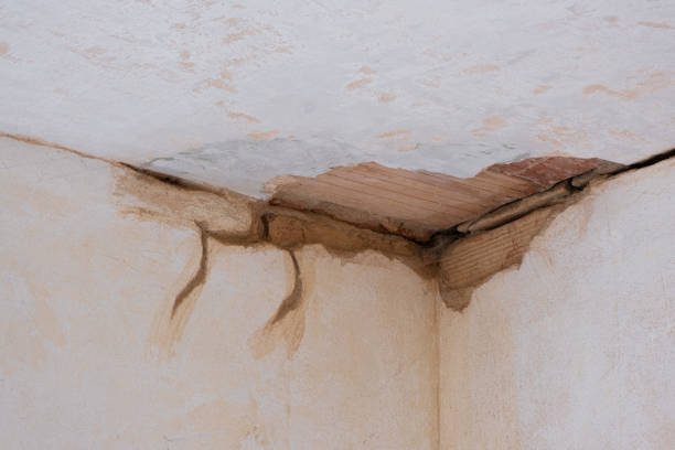 Best Ceiling water damage repair  in San Diego Country Estates, CA