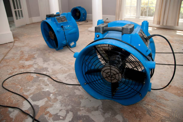 Best Water damage cleanup near me  in San Diego Country Estates, CA