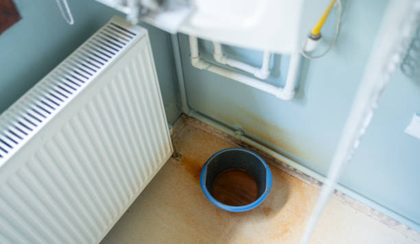 Best Water damage restoration specialists  in San Diego Country Estates, CA
