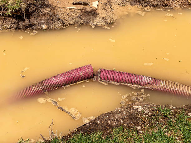 Best Water damage restoration company  in San Diego Country Estates, CA
