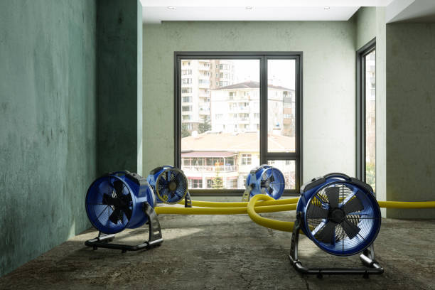 Local water damage restoration in CA