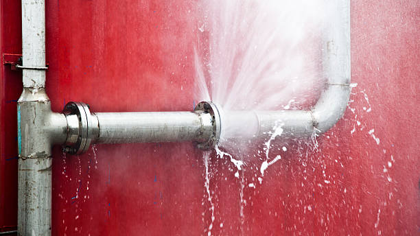 Best Water damage repair service  in San Diego Country Estates, CA