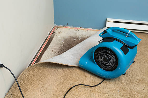 Best Water damage restoration near me  in San Diego Country Estates, CA